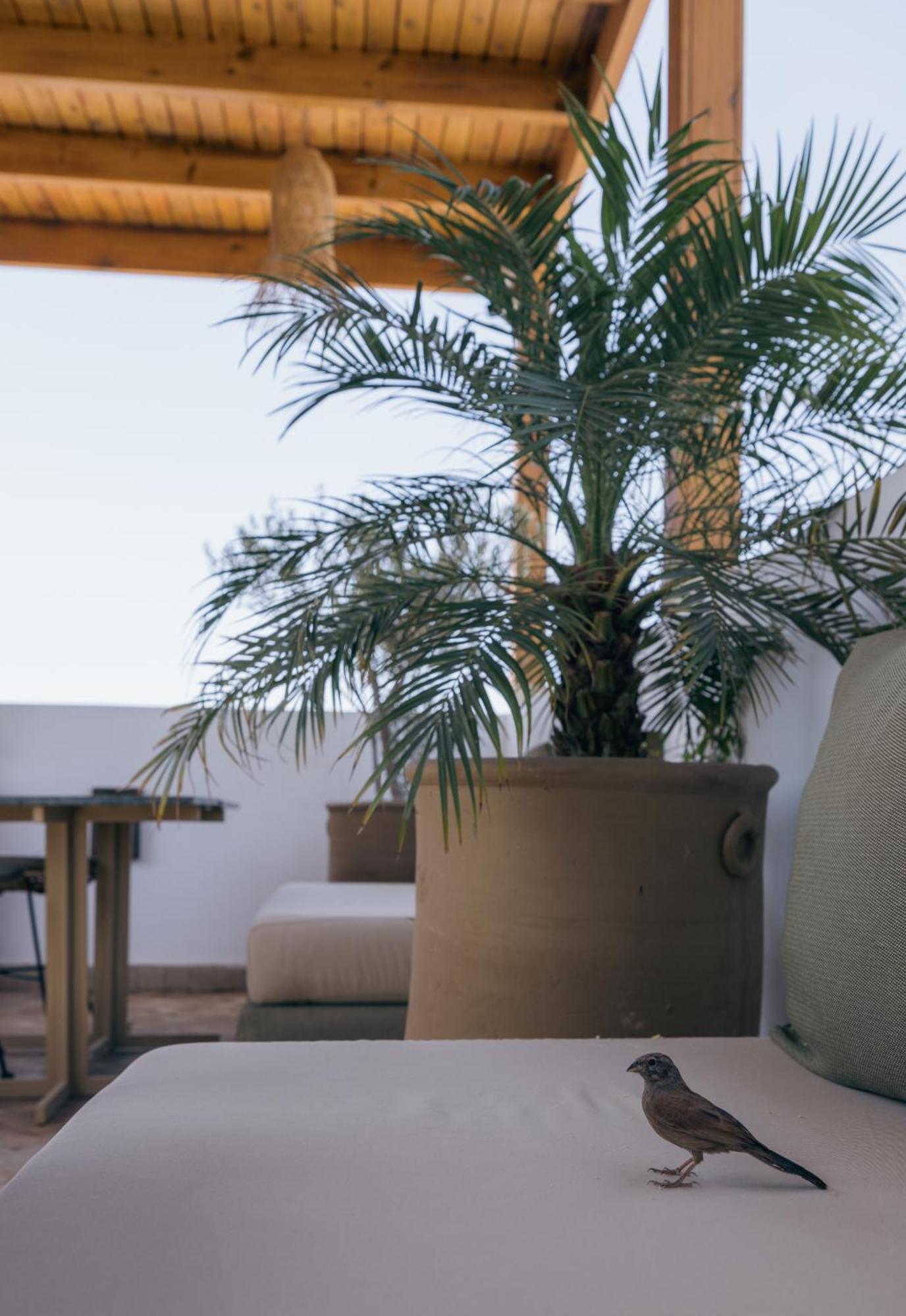 Riad Dar Bayane Marrakesz Zewnętrze zdjęcie